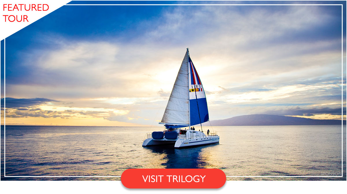 Trilogy Excursions whale watching