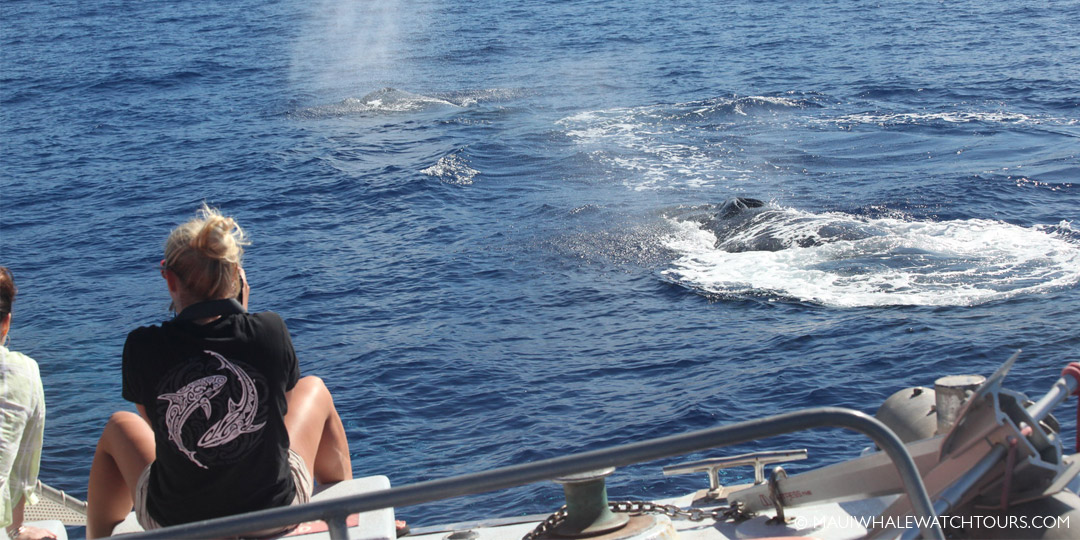 From a Boat