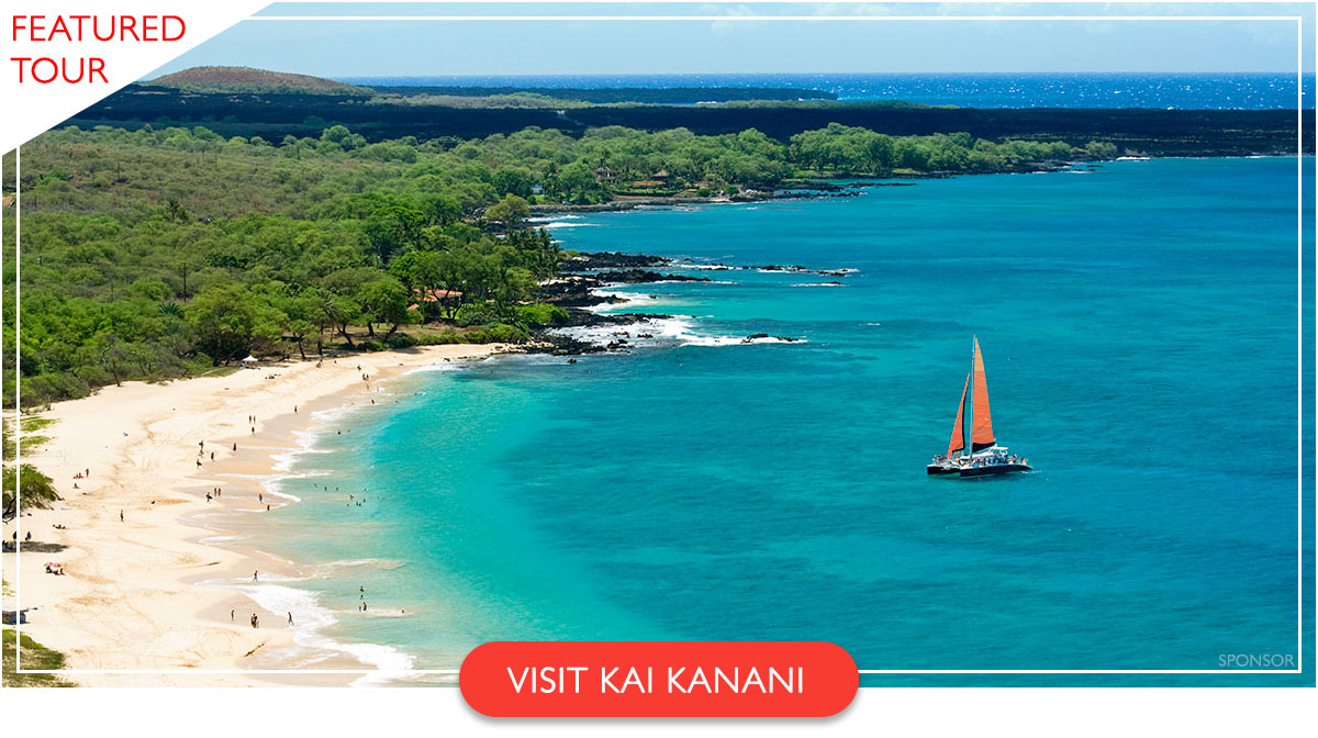 Kai Kanani Whale Watching